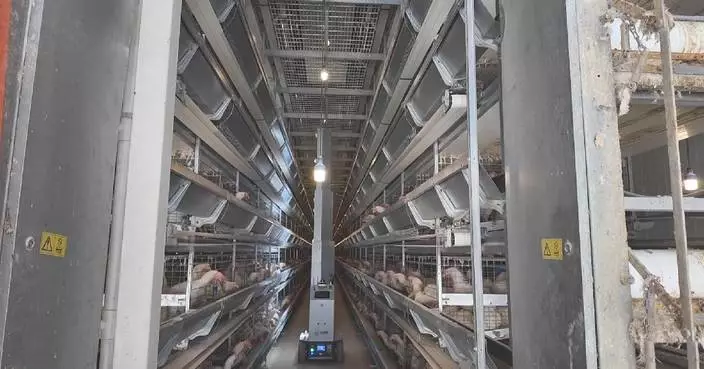 Chick it out: intelligent inspection robots help speed up work at rural chicken farms