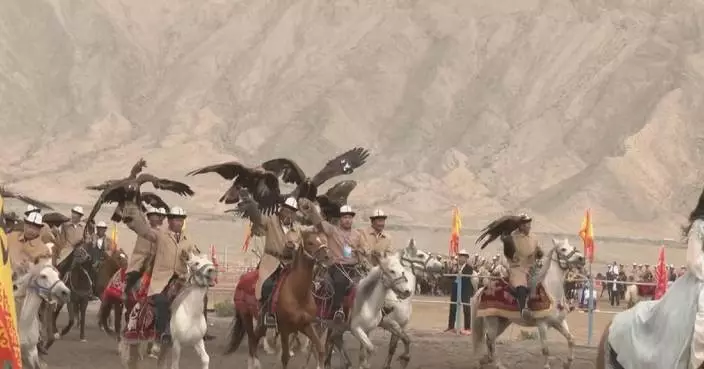 High-spirited falcon culture festival kicks off tourism season in Kirgiz county