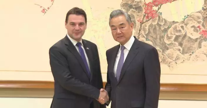 Chinese FM calls for greater Czech efforts to improve bilateral ties