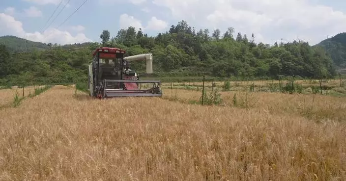 High-tech farming boosts summer harvest in Guizhou