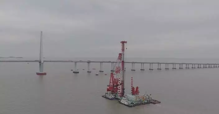 Hangzhou Bay Bridge anti-collision upgrade project completes pile foundation