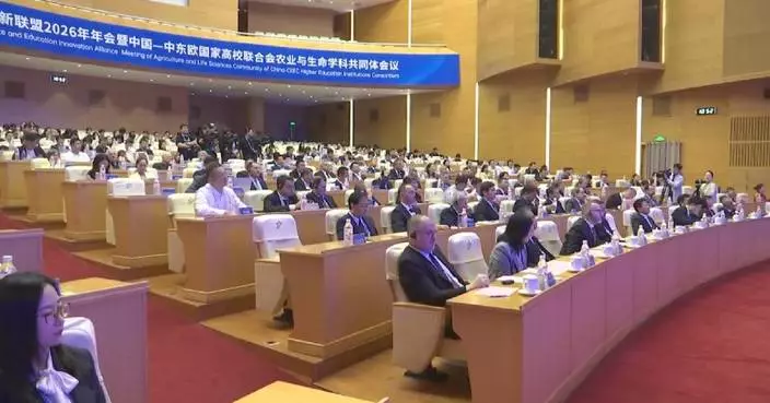 Local leaders from China, CEE nations seek deeper practical cooperation