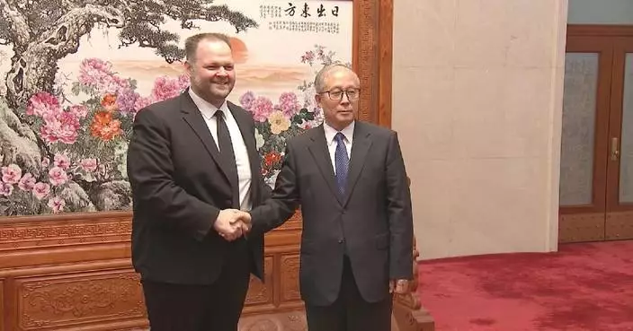 Senior Chinese legislator meets European Parliament delegation