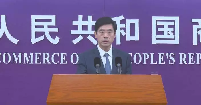 Commerce Ministry spokesman on steel tariff negotiations with EU