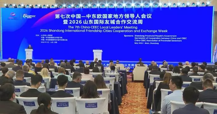 Delegates explore how local cooperation takes shape on ground at China-CEEC meeting