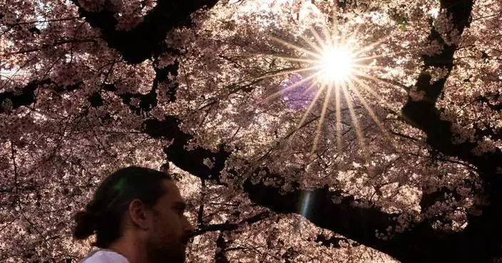 Study says trees counter half the world’s urban heating, but not in the places that need it most