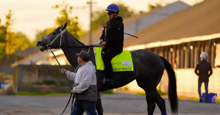 Great White is fine after throwing his jockey and getting scratched late from  the Kentucky Derby
