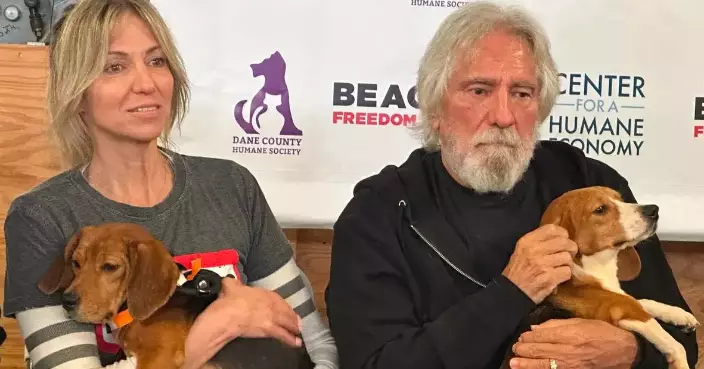 Black Sabbath bass player, Debbie Gibson praise effort to find new homes for beagles