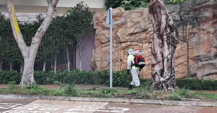 FEHD Reports Rising Aedes albopictus Gravidtrap Indexes Across Multiple Districts in May 2026