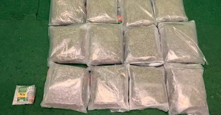 Hong Kong Customs Seizes 12kg of Cannabis and Arrests Two Passengers at Airport