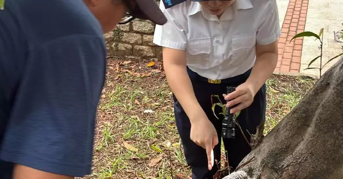 FEHD Releases May Gravidtrap Indexes for Aedes Albopictus, Highlights Areas of Concern and Control Measures.