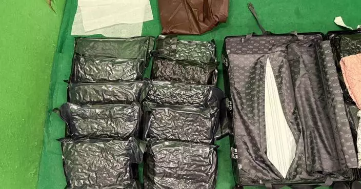 Hong Kong Customs Seizes 29kg of Drugs, Arrests Two Passengers at Airport
