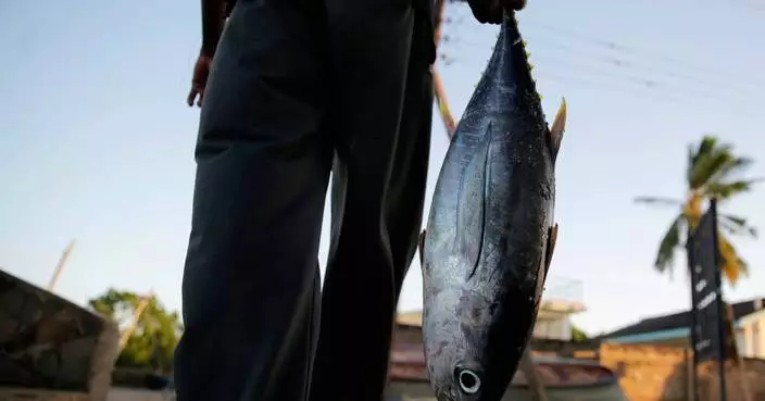 European fishing firms reflag ships to tap Indian Ocean tuna quotas, report finds