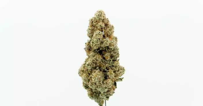 Canopy Growth Relaunches Tweed Brand in Germany with New MTL Cannabis Strain Lineup, Marking First International Release following Acquisition