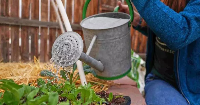 Gardeners often hear about supposed hacks and quick fixes. Here are some common ones debunked