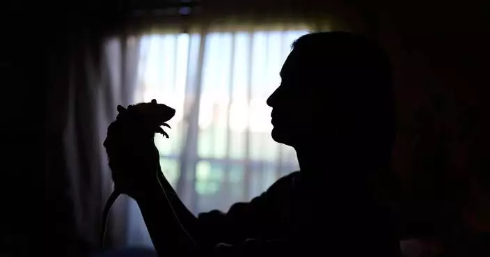 Unwanted lab rats find new homes and are adopted thanks to an Argentine organization