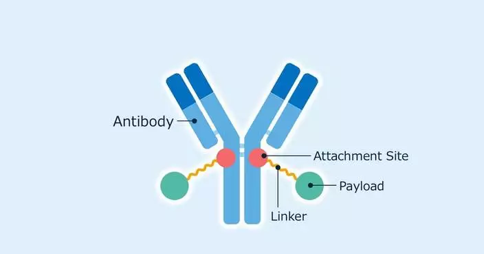 Asahi Kasei Life Science Acquires License for Novel Antibody-Drug Conjugate Technology from The Noguchi Institute – A Major Milestone for More Efficient and Safer Cancer Treatments