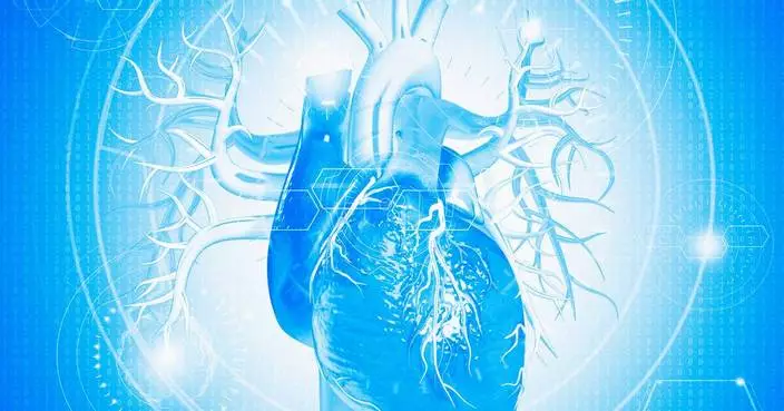 Carnegie Mellon University and Cleveland Clinic Develop AI System to Interpret Cardiac MRI Scans with Enhanced Accuracy