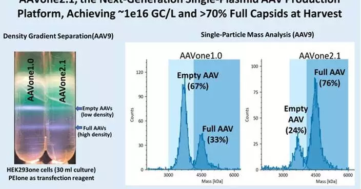 AAVnerGene Announces AAVone®2.1, a Next-Generation Single-Plasmid AAV Production Platform Achieving ~1e16 GC/L and >70% Full Capsids at Harvest