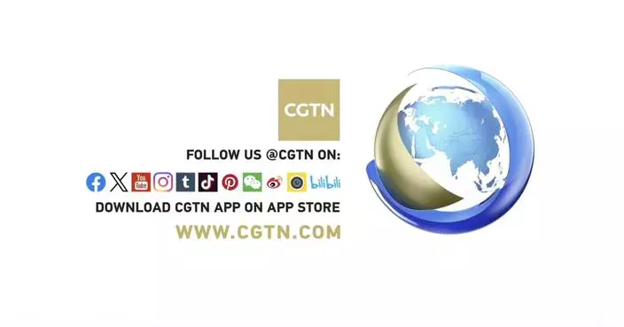 CGTN: China and Serbia Call for Strengthened Artistic Exchanges and Deeper Friendship