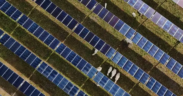 Solar power hits new milestones in the US even as Trump boosts coal over clean energy