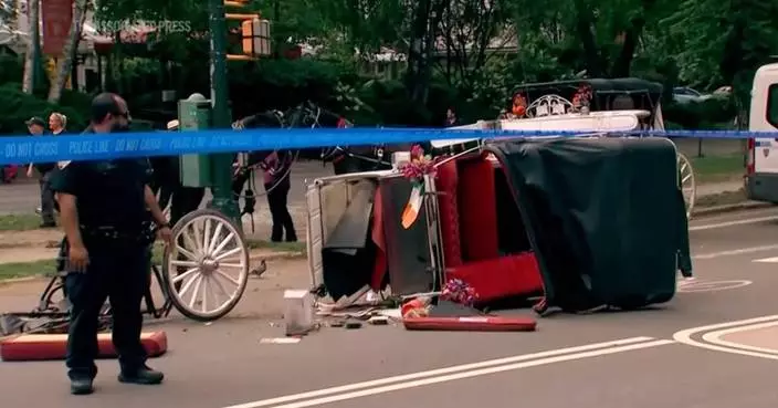 New York mayor, other leaders push to ban horse-drawn carriage rides after Indian teen's death