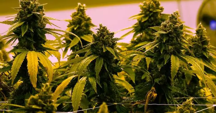 Virginia to allow recreational marijuana to be sold in retail stores beginning in 2027