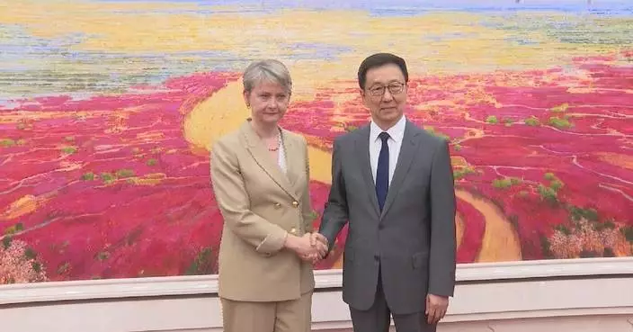 Chinese vice president meets UK foreign secretary