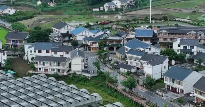 China issues plan to accelerate agricultural, rural modernization