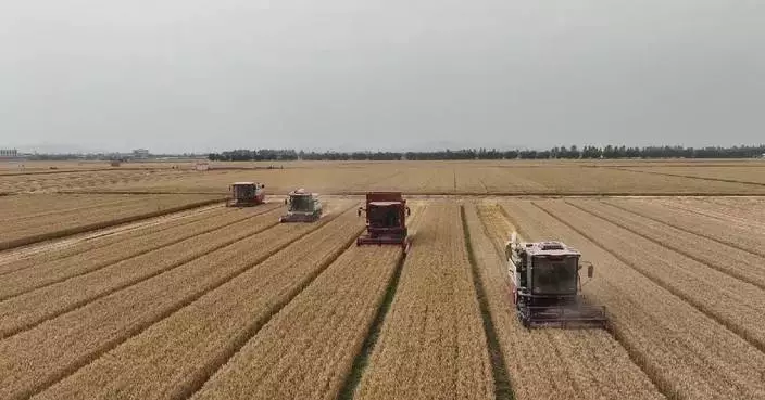 China to boost grain output, build beautiful, harmonious countryside by 2030: researcher