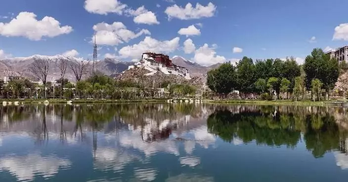 China’s Xizang maintains stable ecological environment in 2025: report