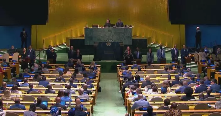 5 countries elected non-permanent members to UN Security Council