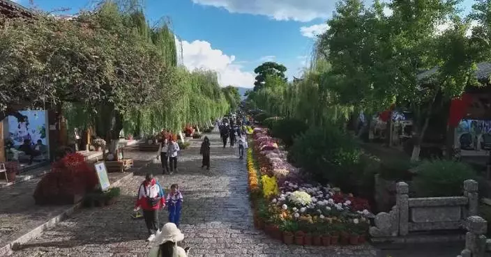 China accelerates green development under Xi’s guidance