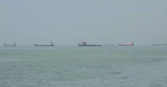 Iran says to jointly manage Hormuz Strait with Oman