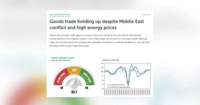 Global goods trade remains resilient despite Middle East conflict: WTO