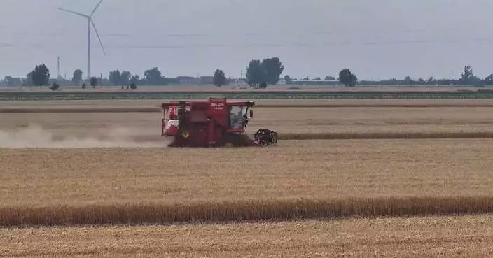 China’s wheat harvest nears 60 pct as farmers race against rain