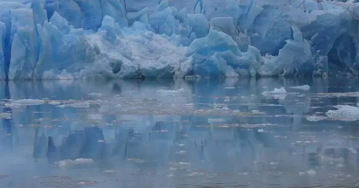 Global oceans near record heat as El Nino builds: expert