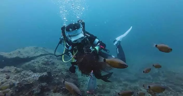 Greater Bay Area events promote marine protection on Oceans Day