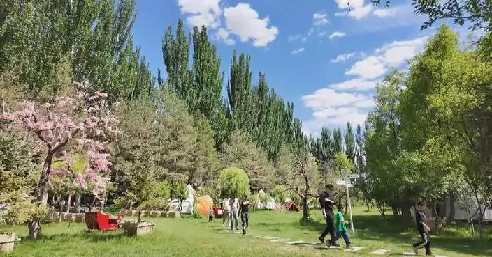 Once-barren forest farm reborn as thriving scenic attraction in Ningxia