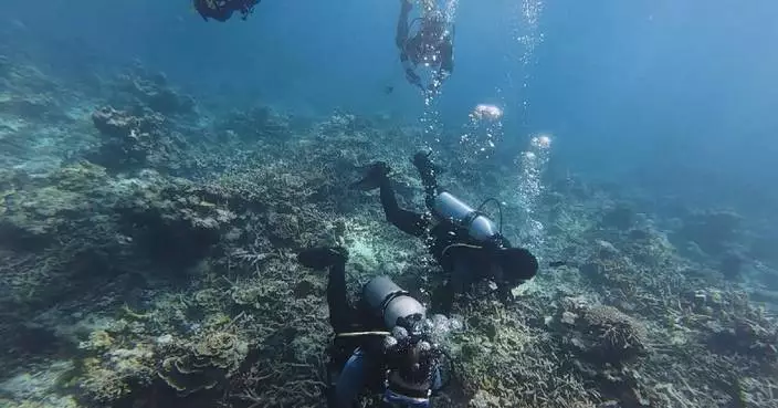 Chinese marine engineers closely monitor conditions of coral reefs in South China Sea