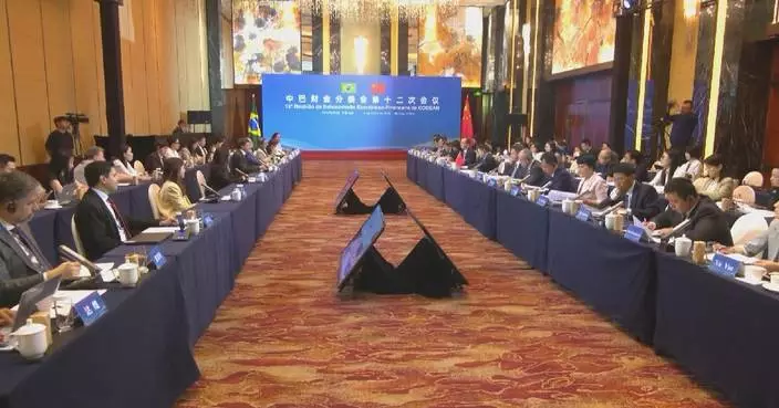 China, Brazil pledge closer financial, agricultural cooperation in Beijing