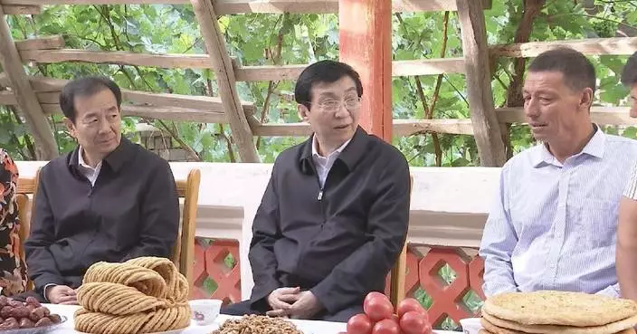 Top political advisor stresses social stability, modernization in Xinjiang