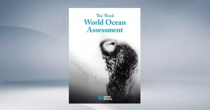 UN report calls for urgent global collaboration to protect marine ecosystems