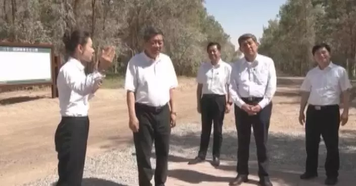 Chinese vice premier urges solid work to advance anti-desertification shelterbelt forest program