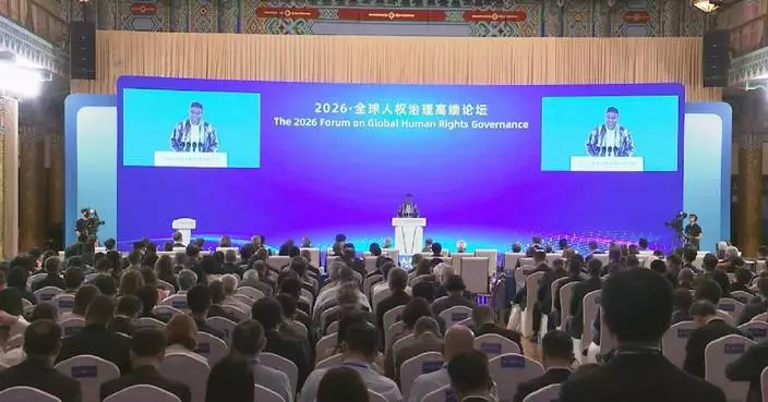 Gambian VP stresses importance of sustainable development to protect human rights
