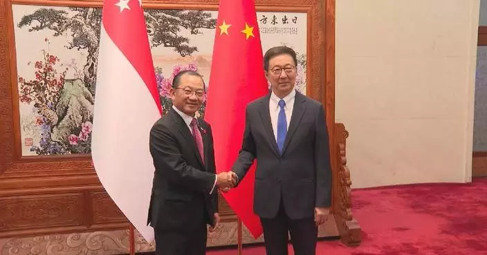 Chinese vice president meets Singapore’s parliament speaker