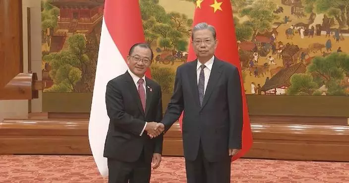 China’s top legislator holds talks with Singapore’s parliament speaker