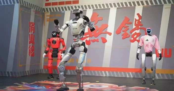 China’s Jiangsu unveils “6S” robot dealership