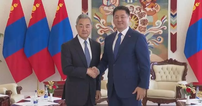Mongolian president meets Chinese FM