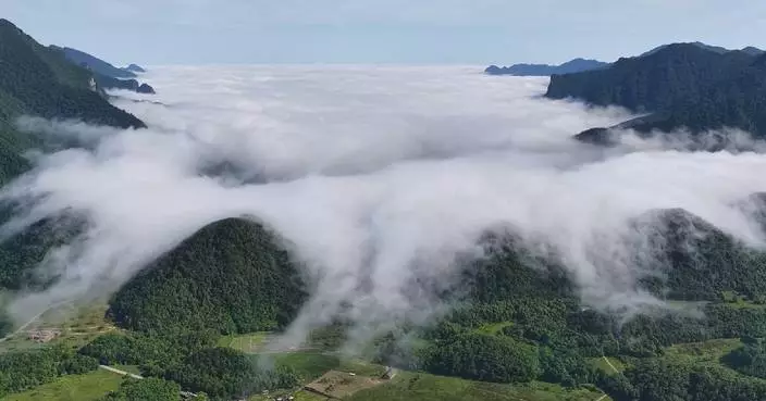 Lush green mountains, drifting sea of clouds appear in Shennongjia after rainfall